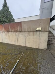 IMG_5335 4